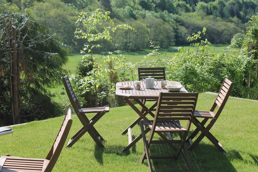 Calming and Relaxing Forest Holidays