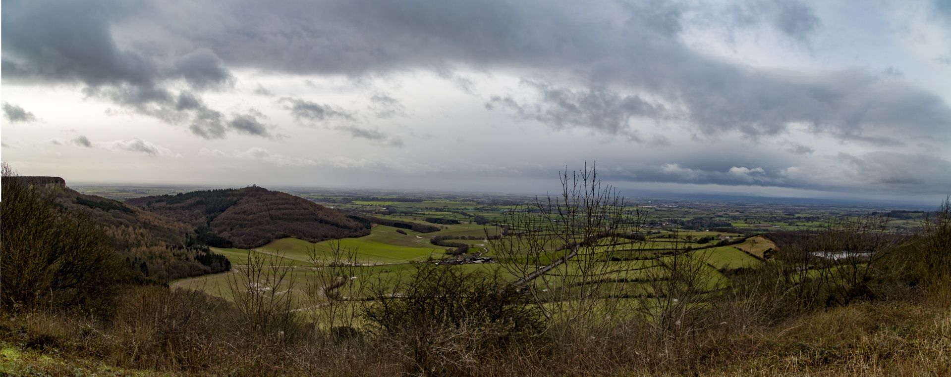 Upland moors